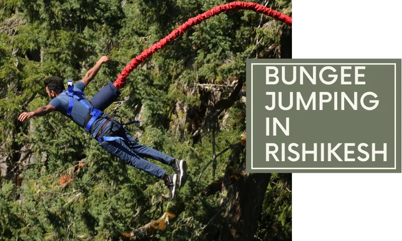 A jumper falling past the forest on a red bungee cord in Rishikesh