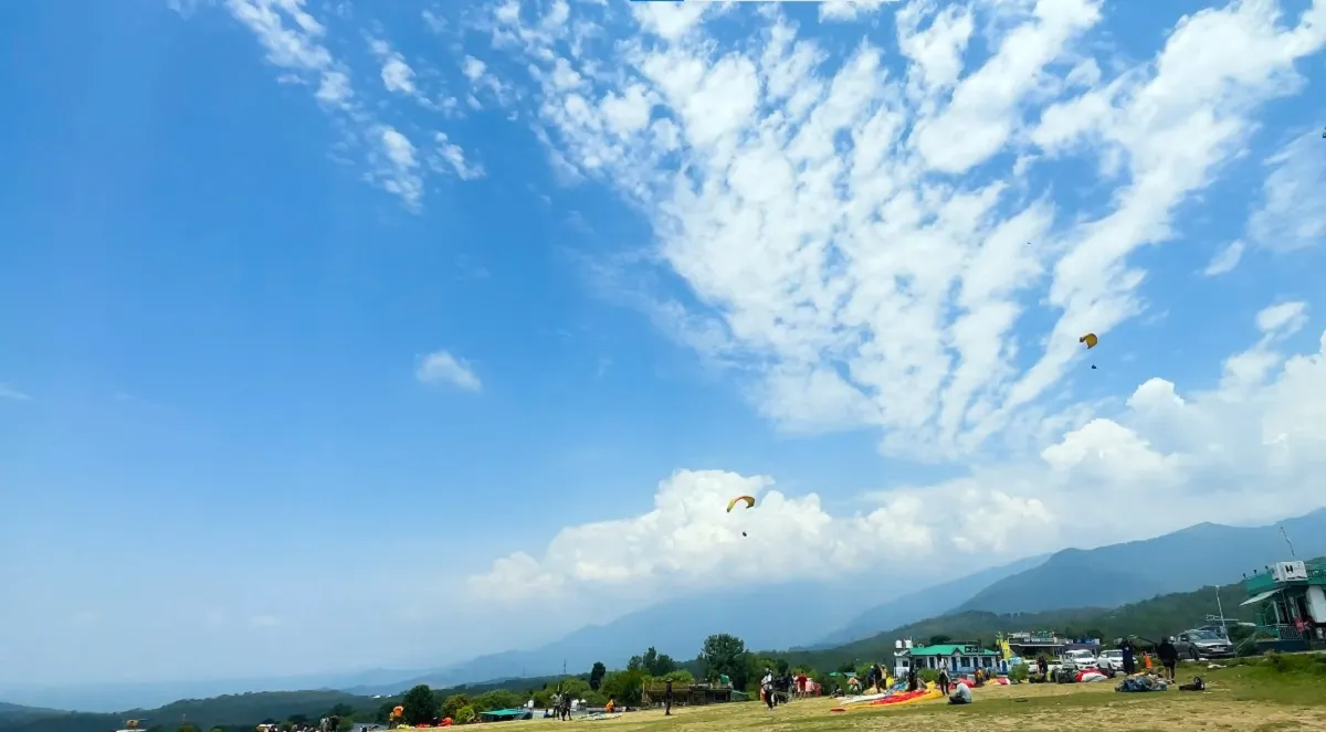 Tandem paraglider in a clear blue sky