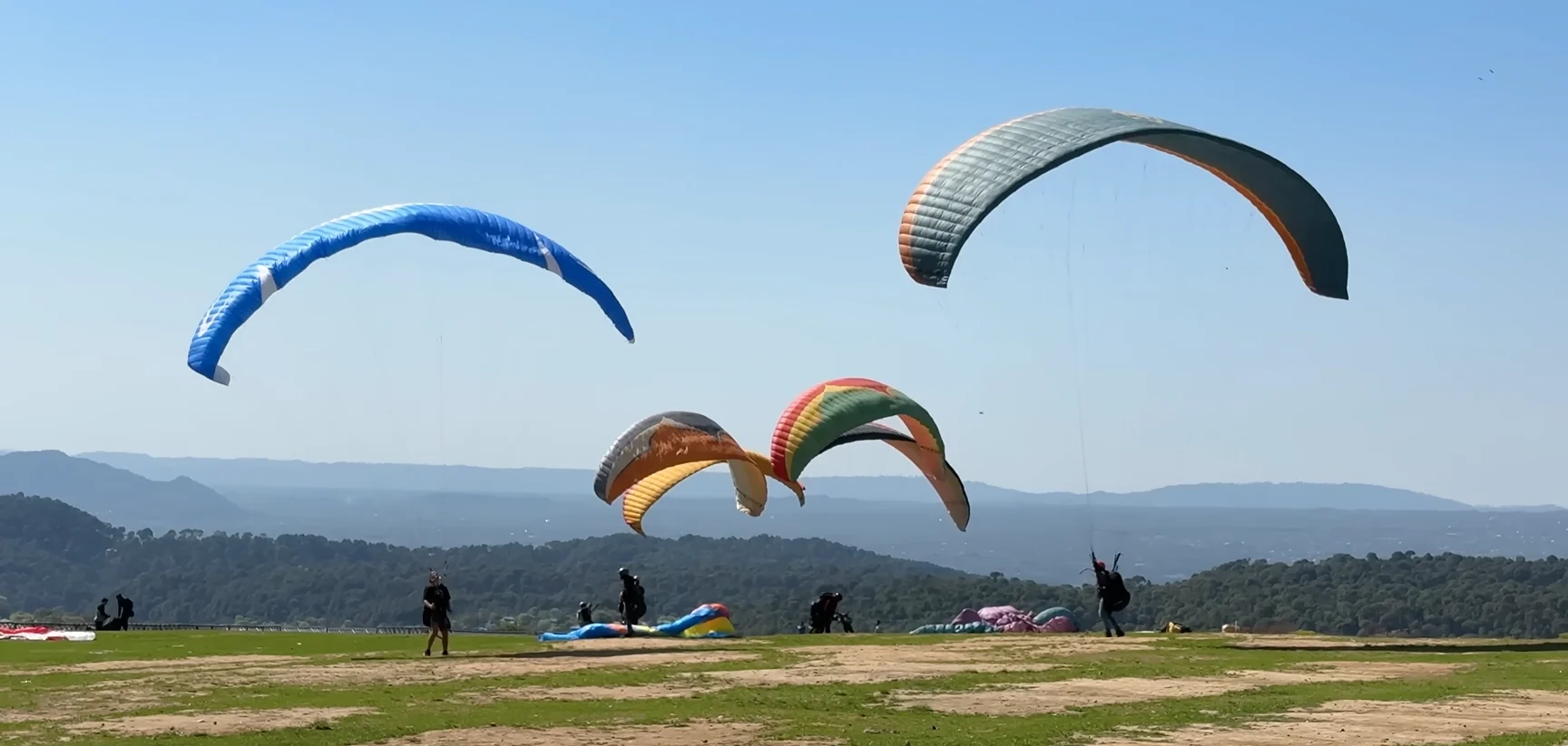paragliding in bir billing in india