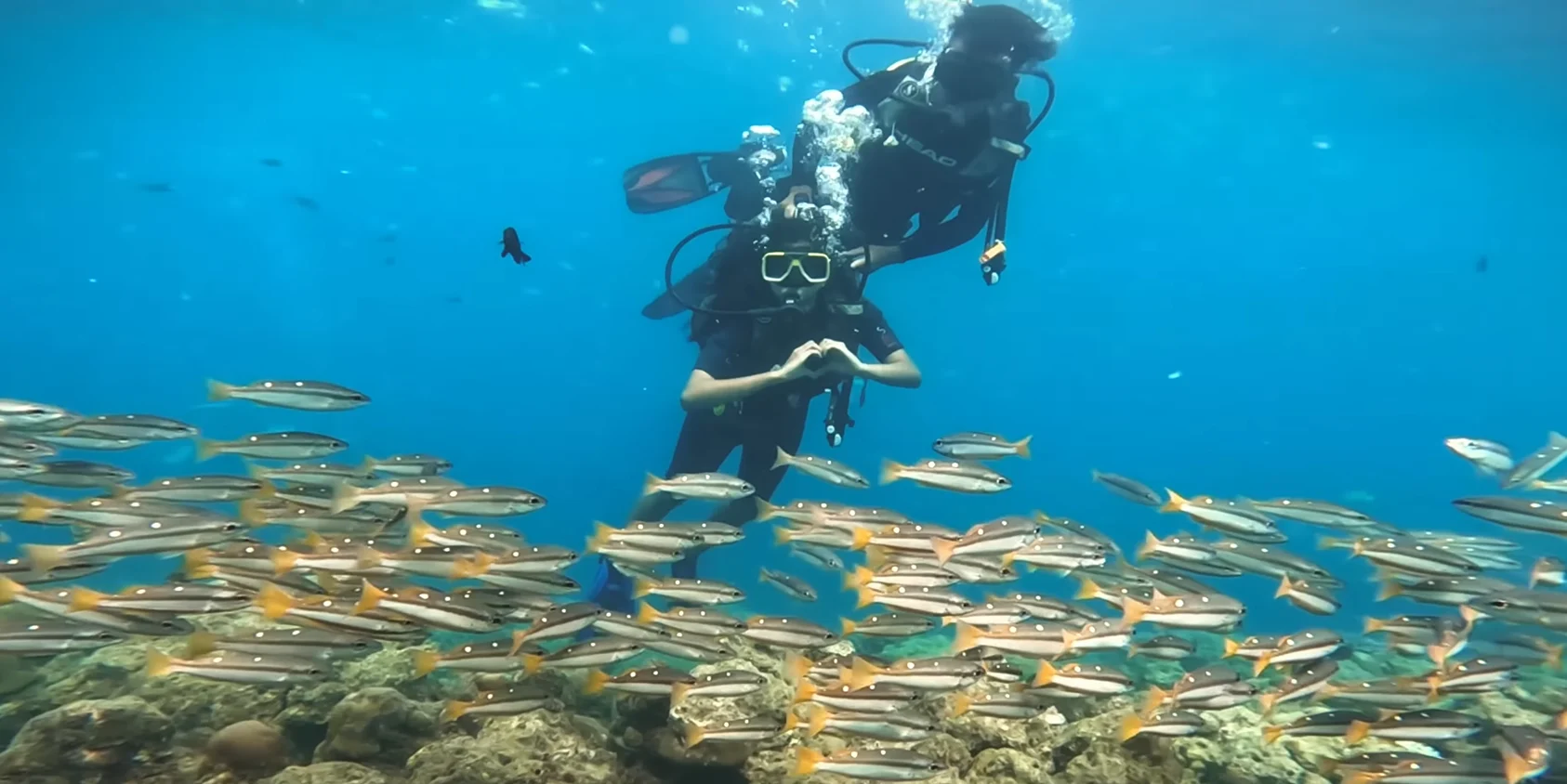 scuba diving in andaman in india