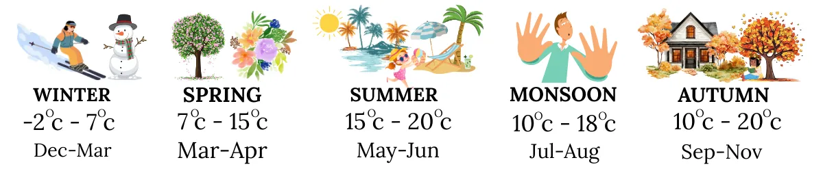 best time to visit auli