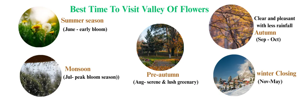 best time to visit valley of flowers by season