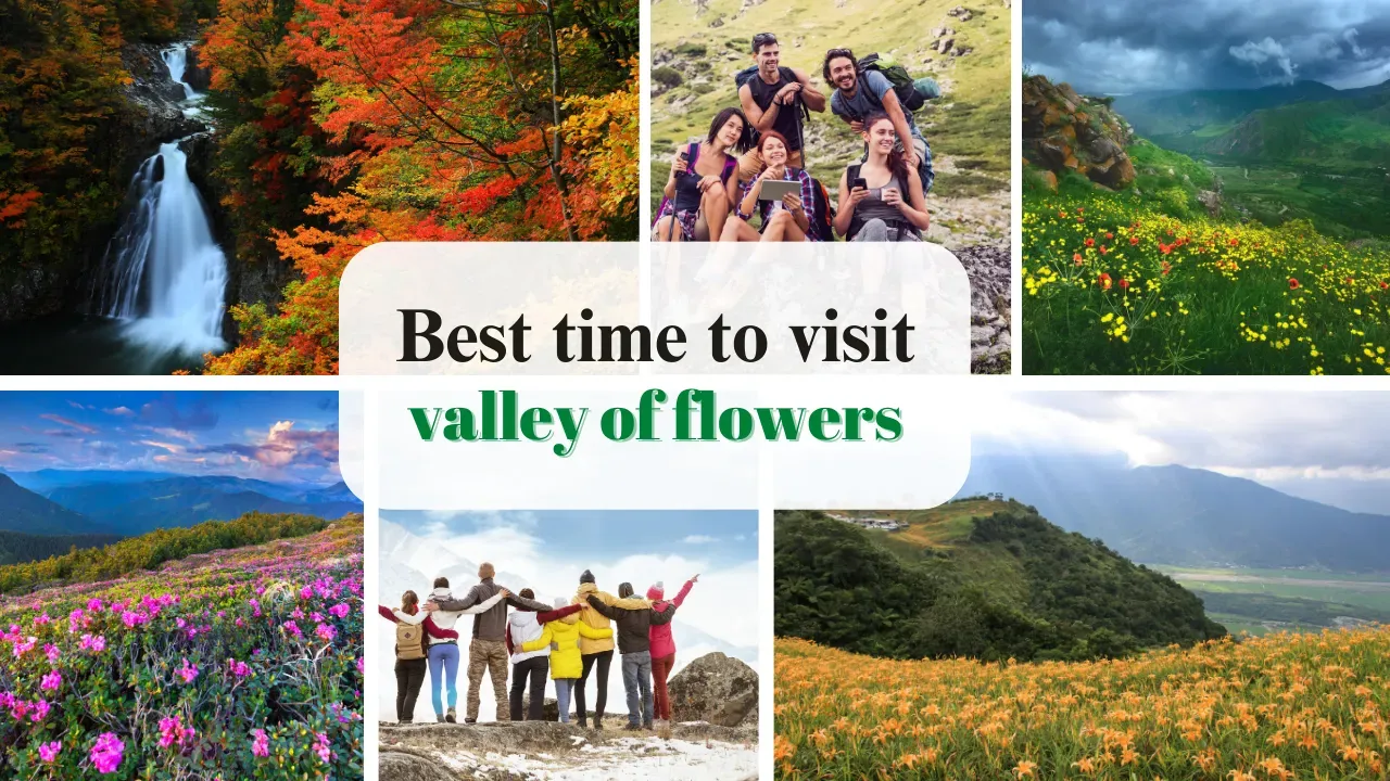 Best Time To Visit Valley Of Flowers: 2026 Weather Guide