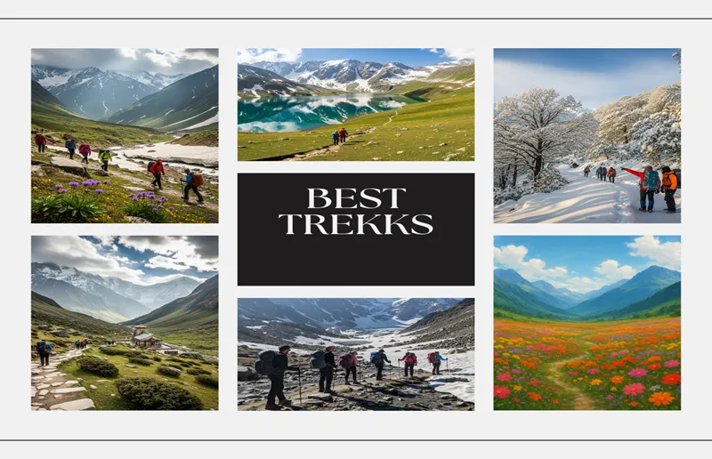 collage of Himalayan treks in India: meadows, lakes, snow trails and flower valleys