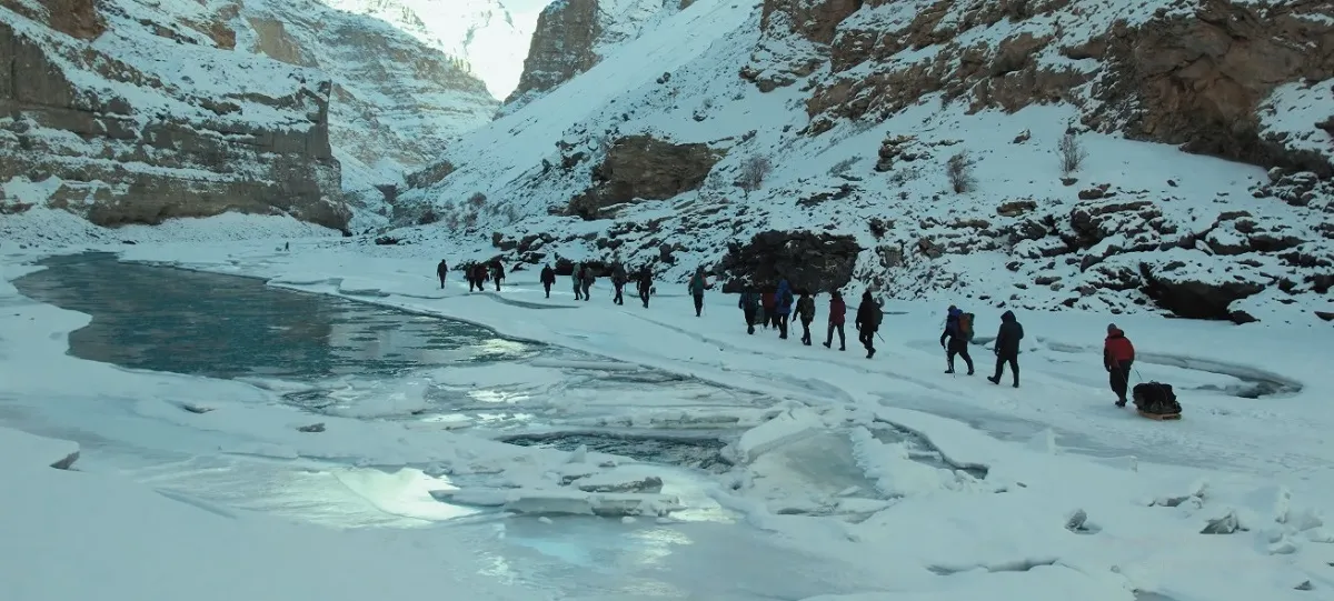 line of trekkers walking on the frozen Zanskar river in a snowy gorge on the Chadar trek