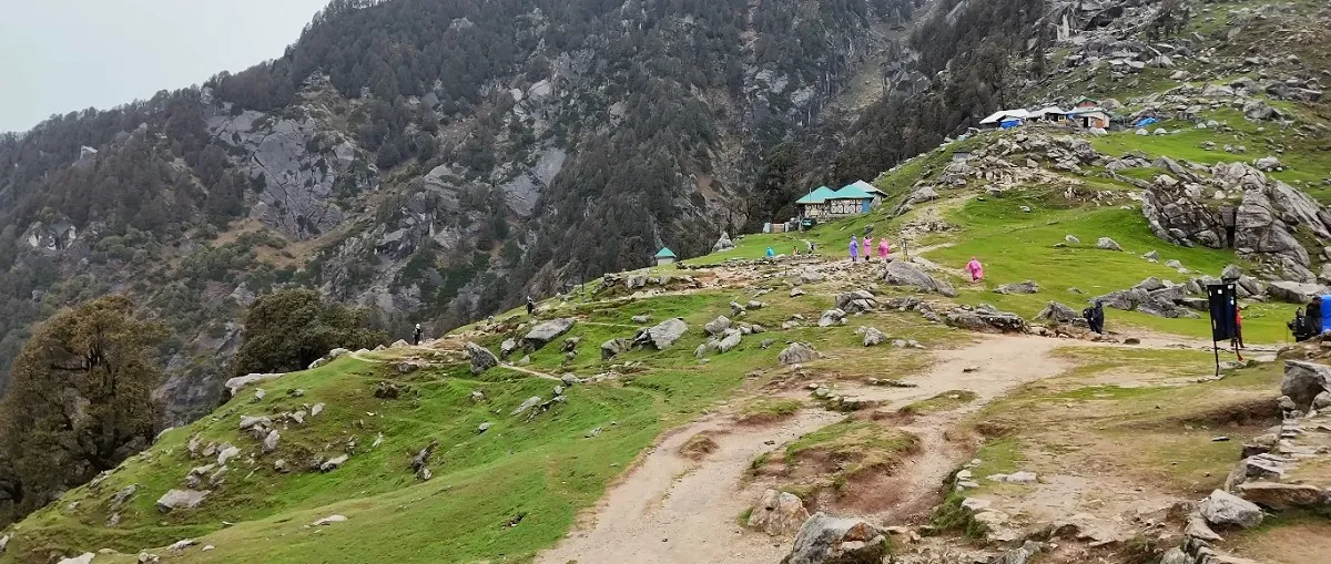 trekkers on the grassy Triund ridge below the rocky Dhauladhar range