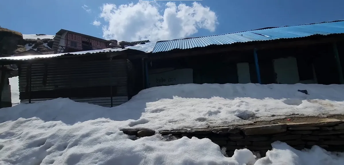 Chopta valley covered in snow during winter