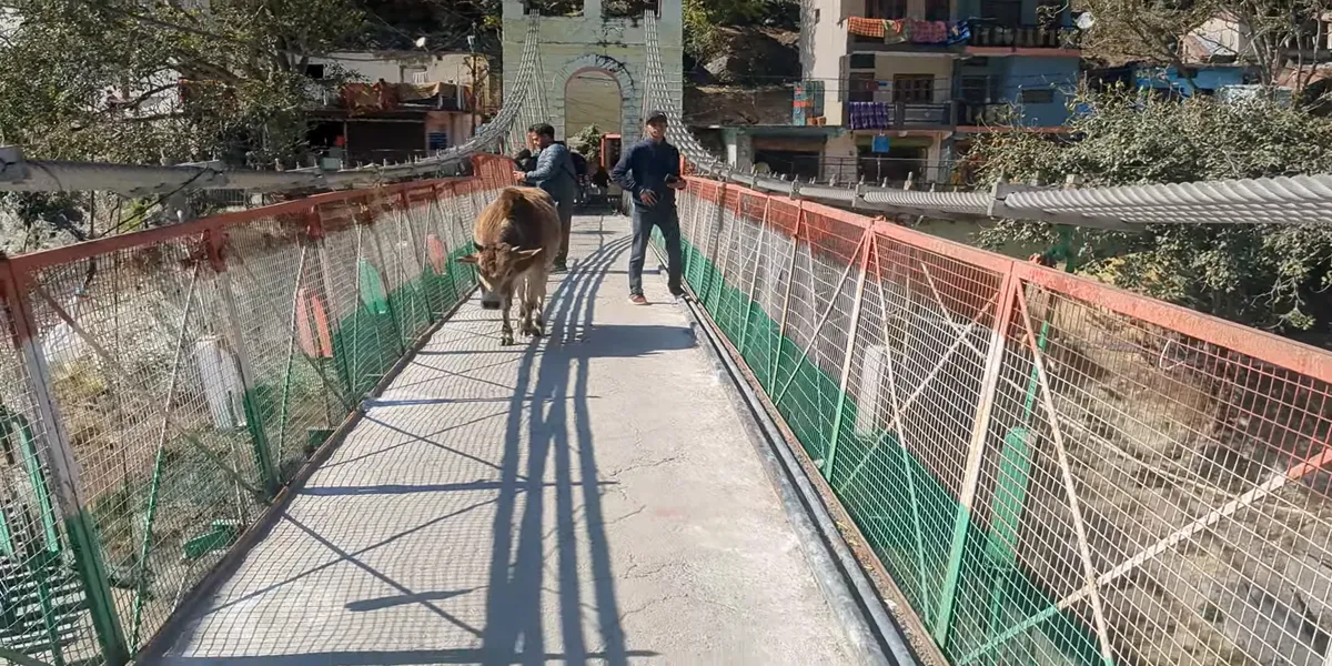 suspension bridge in devprayag over the confluence or river connecting town and sangam