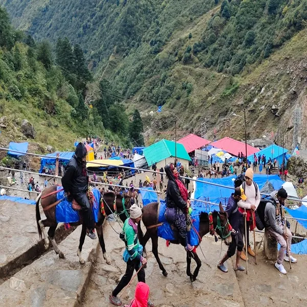 pony and palki rates in yamunotri