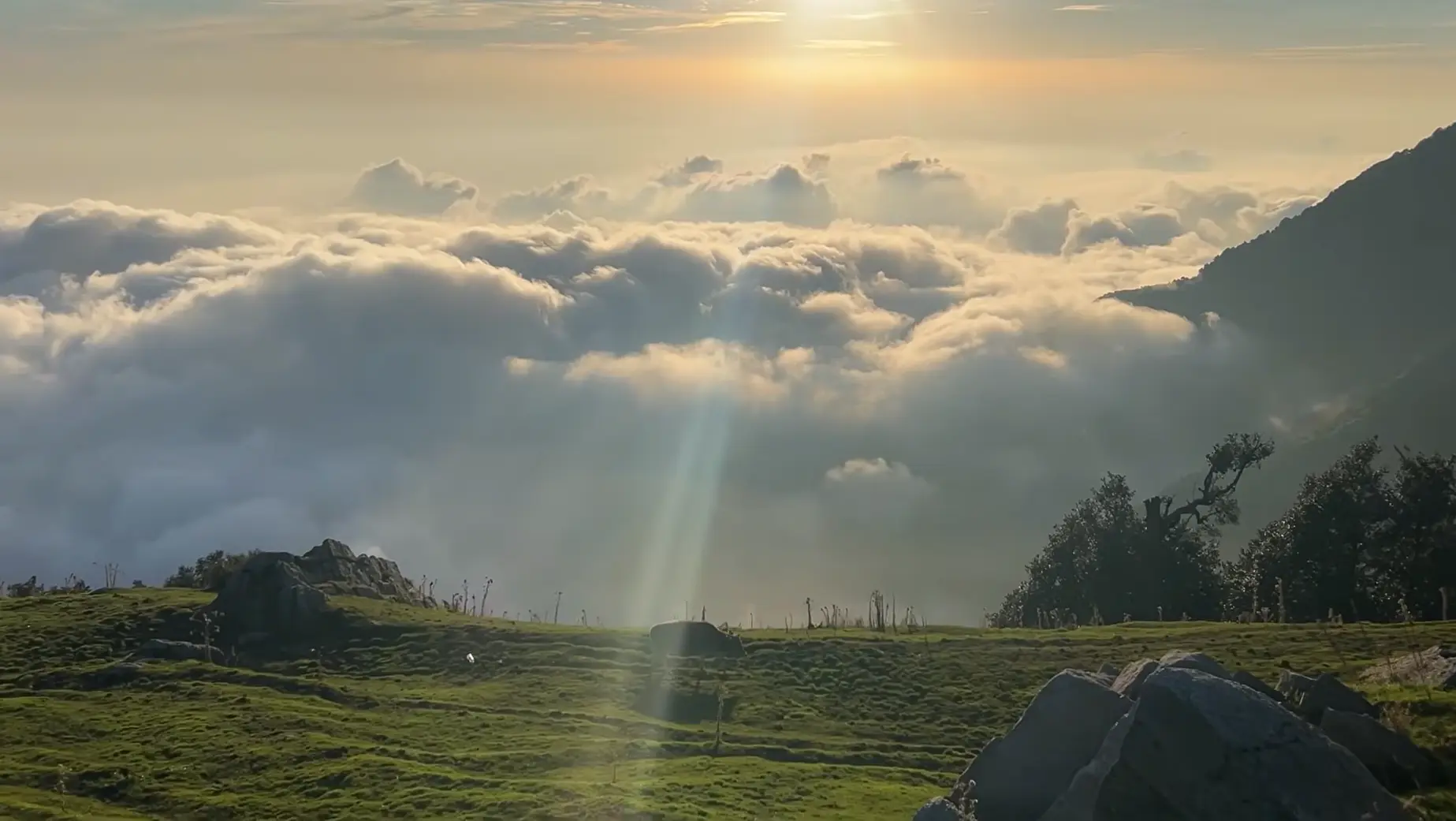 triund trek in himachal