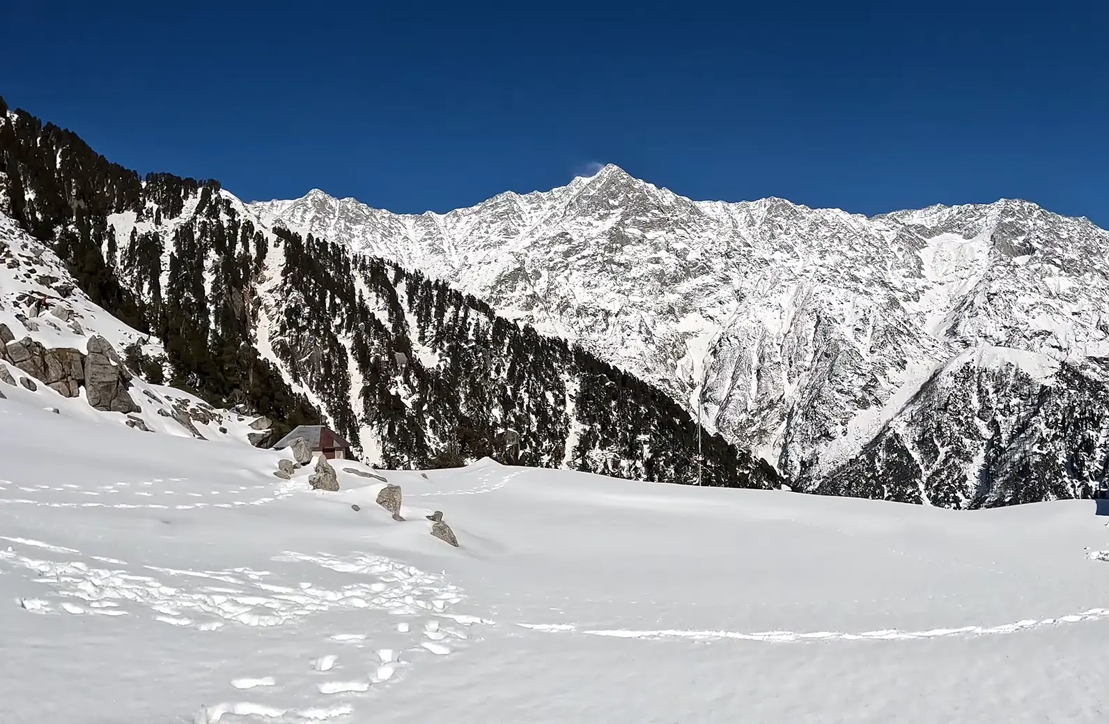 triund trek image