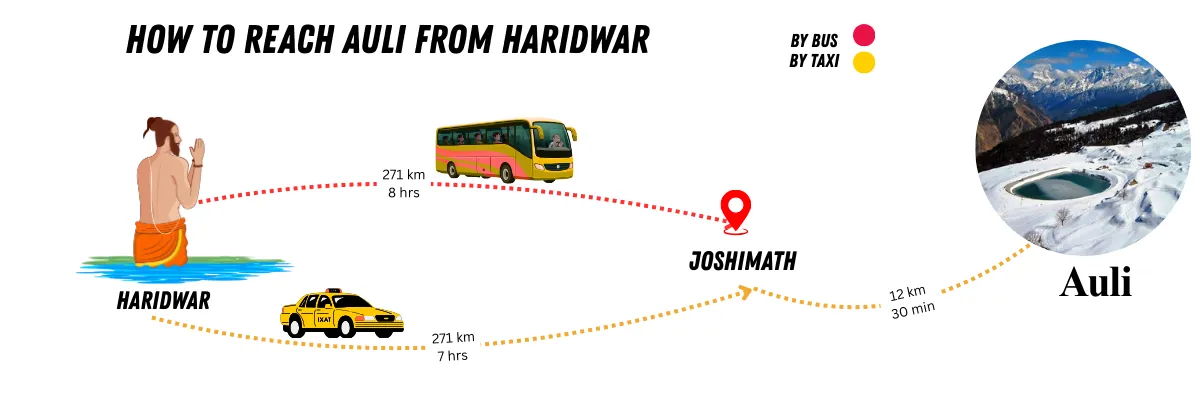 how to reach auli from haridwar