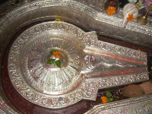 Bhimashankar jyotirlinga shivling image