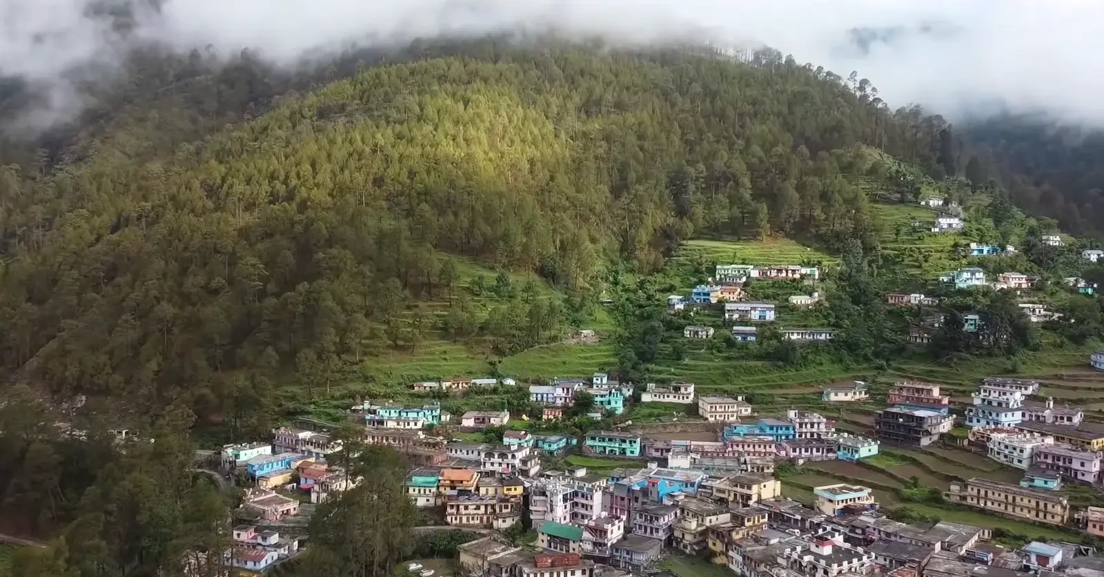 Lohajung village landscape with chaulai fields