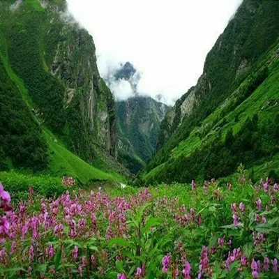 nanda devi national park