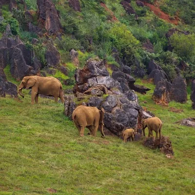 nanda devi national park