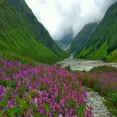 pushpawati river bridge