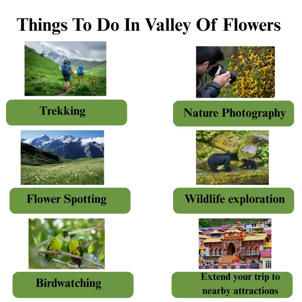 things to do in valley of flowers