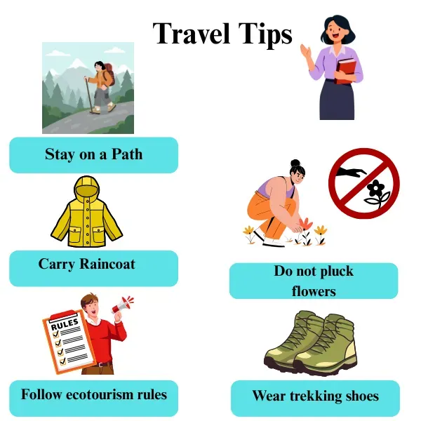 travel tips for valley of flowers