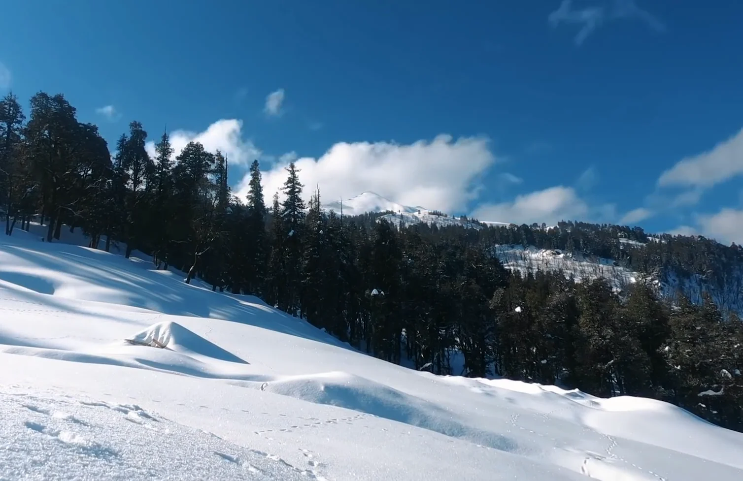 sankri weather in winter