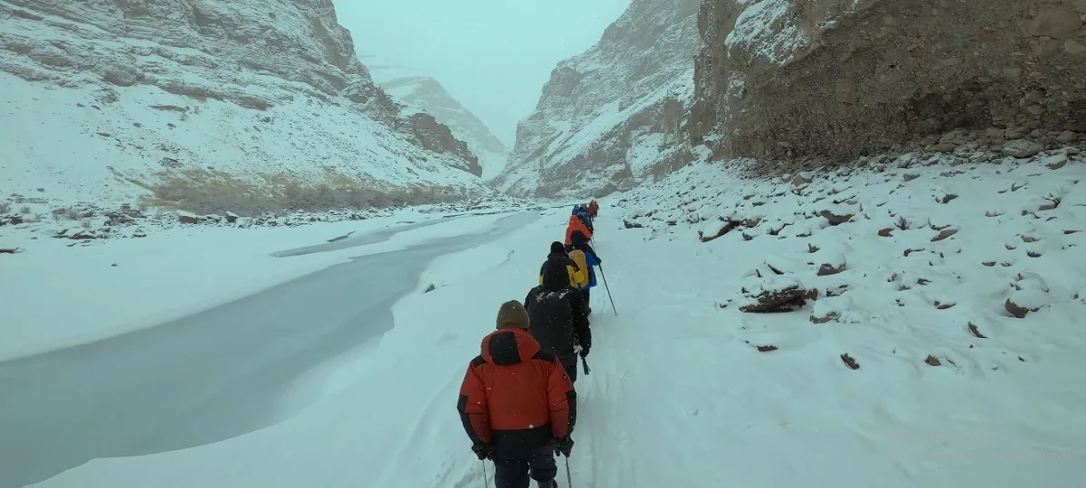 trekkers trekking on snow covered chadar trek trails