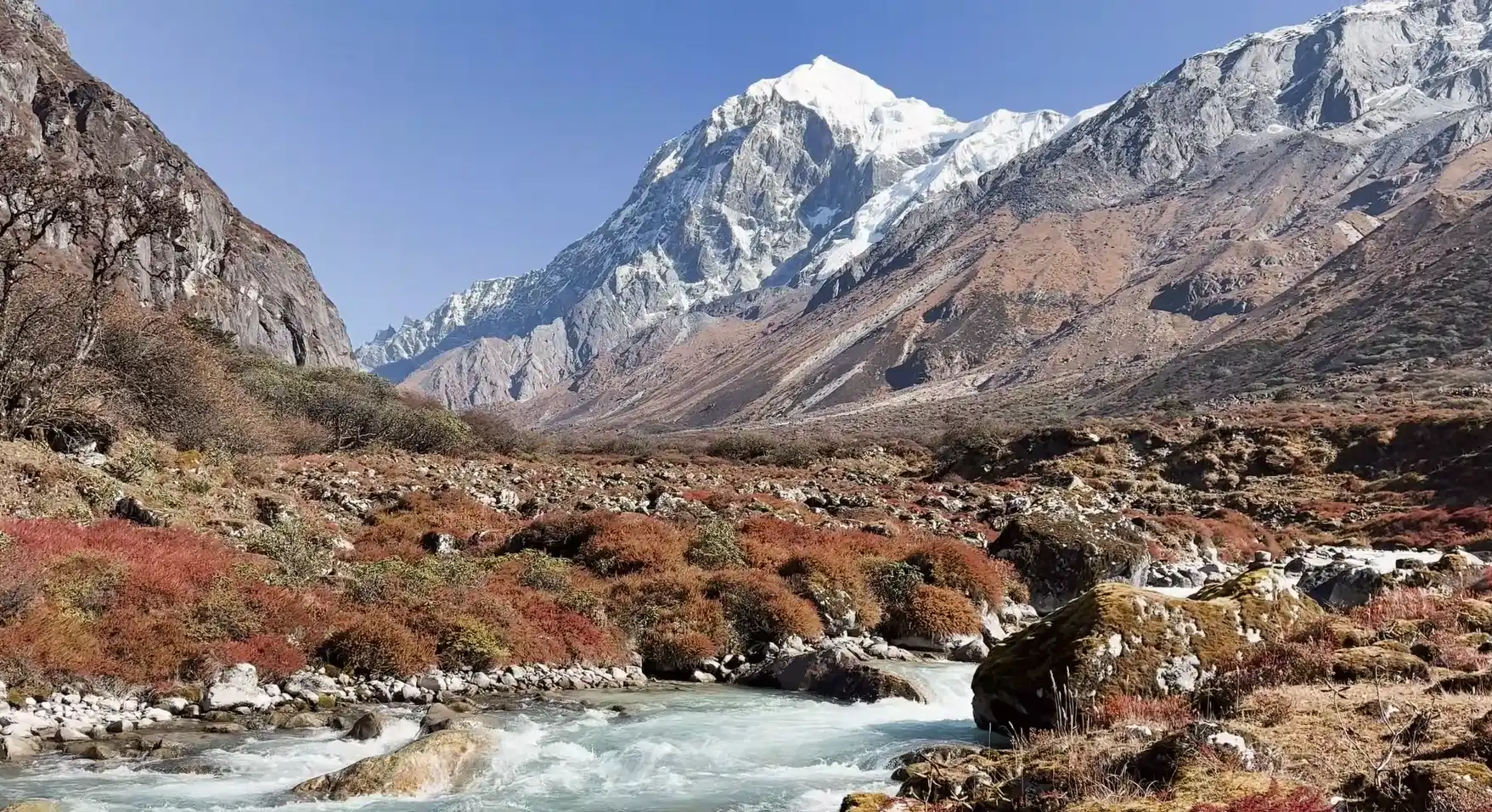 goecha la trek images