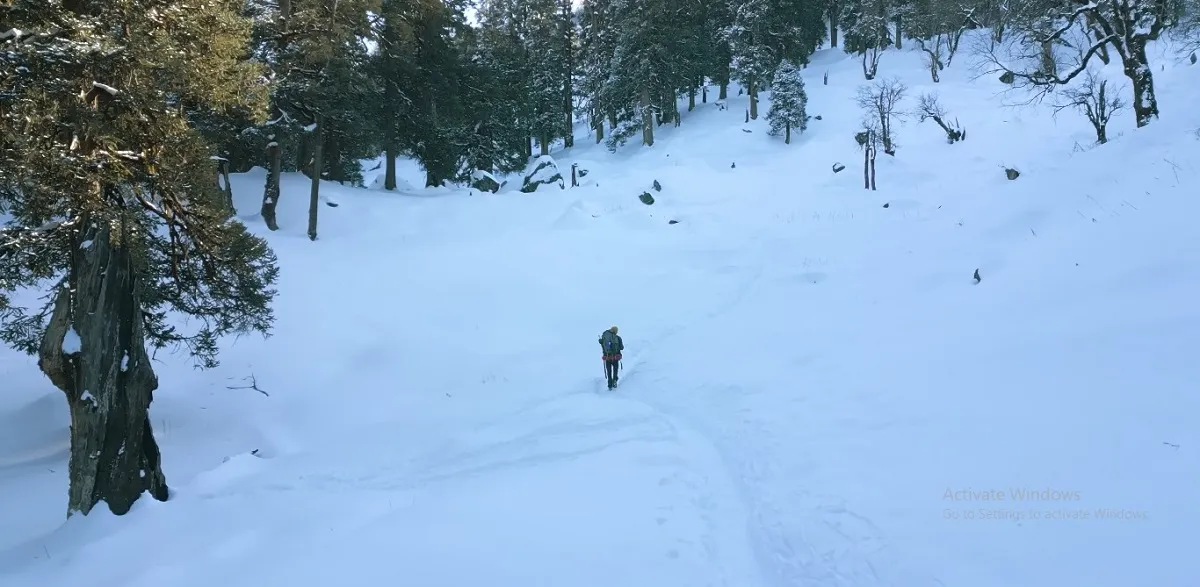 trails of kuari pass trek completely covered in snow