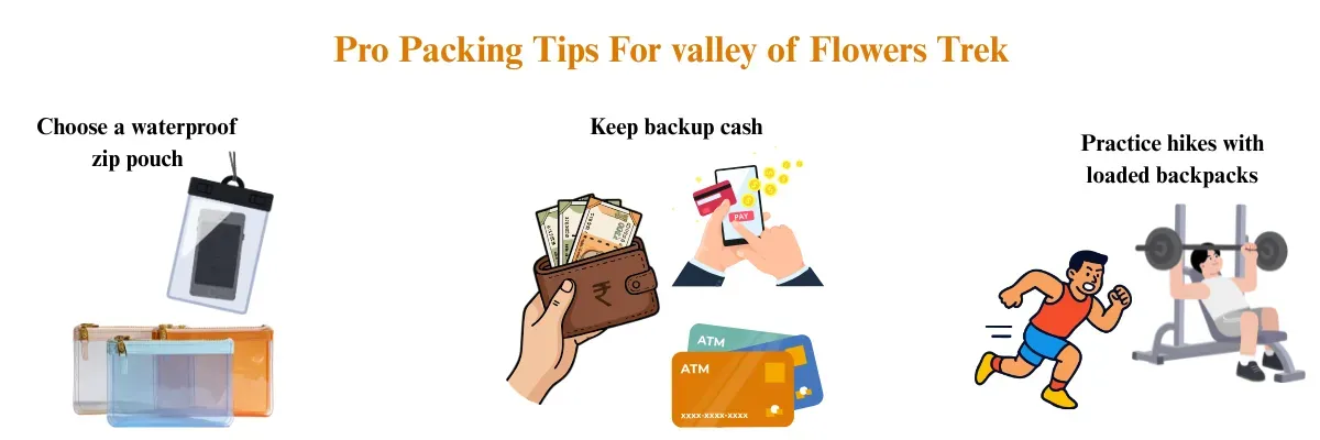 pro packing tips for valley of flowers trek