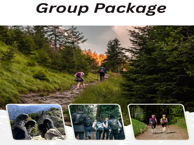 Group Tour Package from Ahmedabad