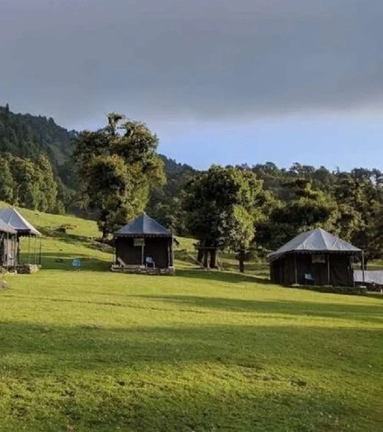A scenery of chopta Tungnath Trek
