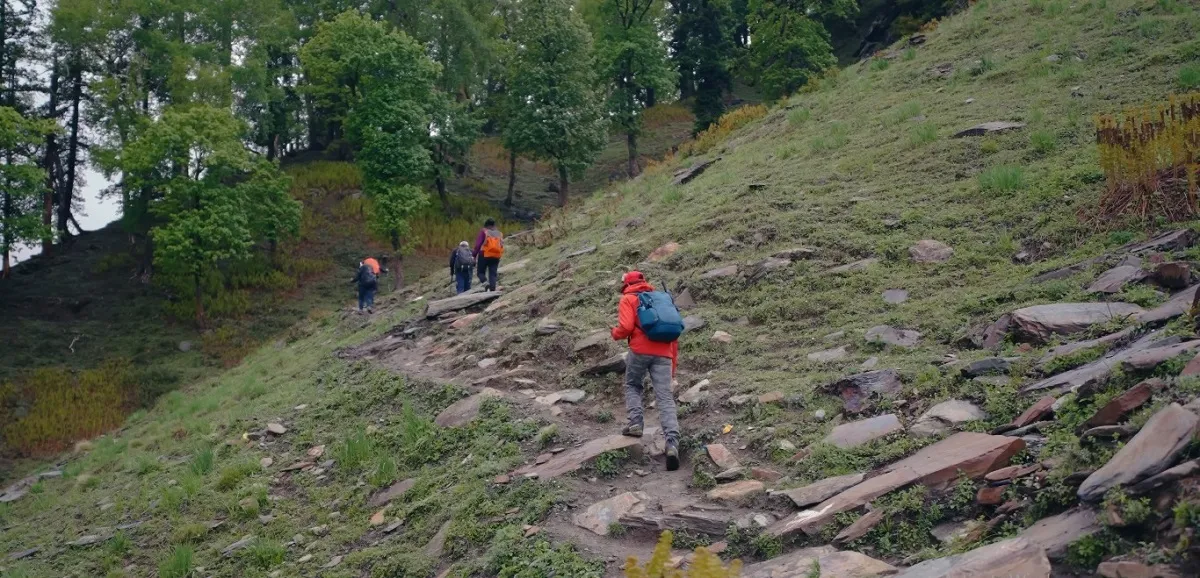 Trekkers climbing a stony trail through forest and grassy meadow on the Friendship Peak trek route