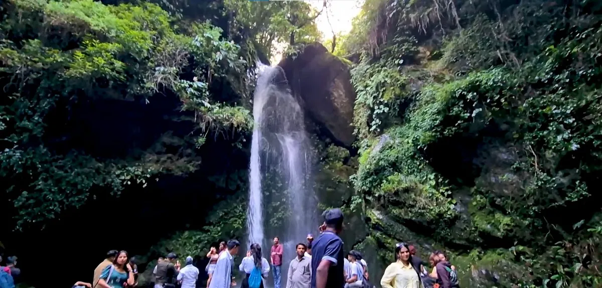 Visitors gathered at a waterfall in a forest gorge