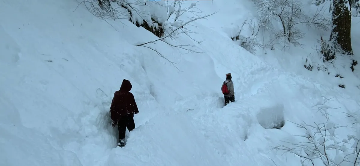 trekkers walking through deep snow on the Kheerganga trail in winter