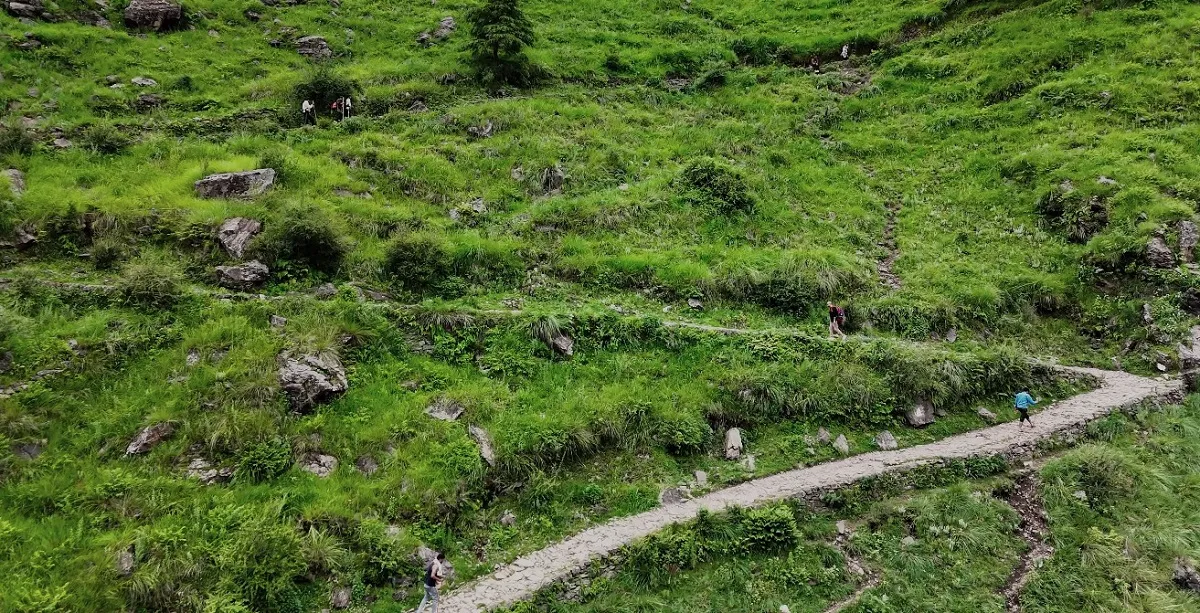 Trekkers on a stone trail across green meadows on the Madhyamaheshwar trek route