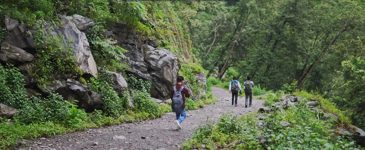 Trekkers on a forest trail on the way from Ransi to Madhyamaheshwar