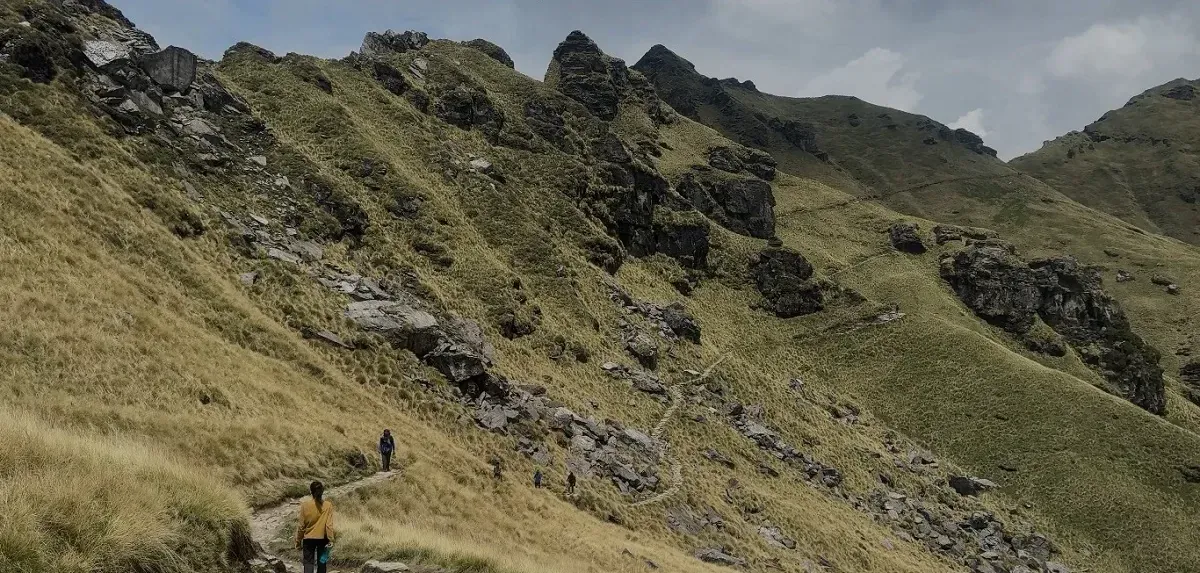 Stone trail with prayer flags along a grassy ridge on the Rudranath trek