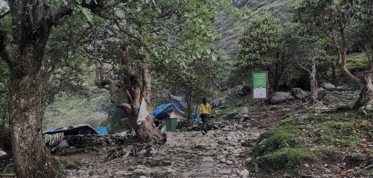 Trekker on the rocky forest trail past a trailside camp and signboard on the Rudranath trek route