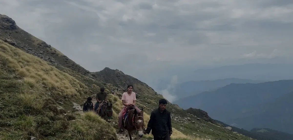 Pilgrims riding ponies led by a local handler along a grassy mountain trail on the Rudranath trek
