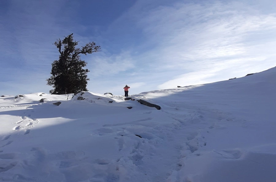 Triund Laka Glacier Trek Package Cost- Manchala Mushafir | Snow Line Trek