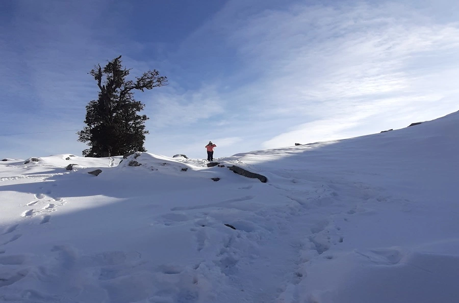 View from Triund Laka Glacier Trek summit fully covered in snow