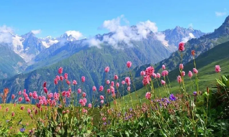 Char dham yatra packages