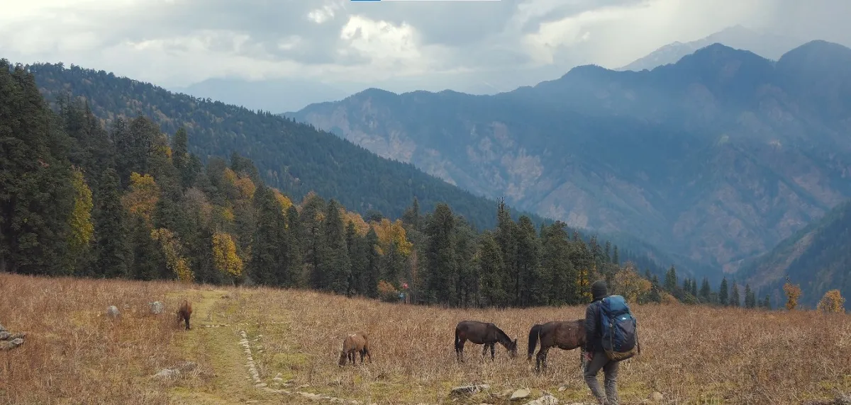 phulara ridge trek image