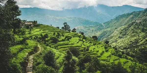 natural photography and exploration at Makkumath