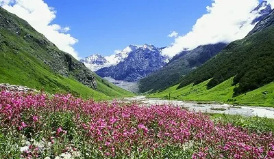 Valley of Flowers