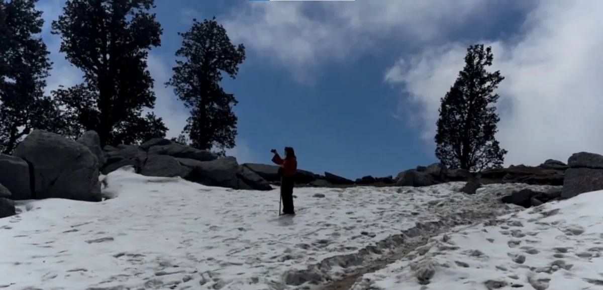snowline trek in dharamshala in winter